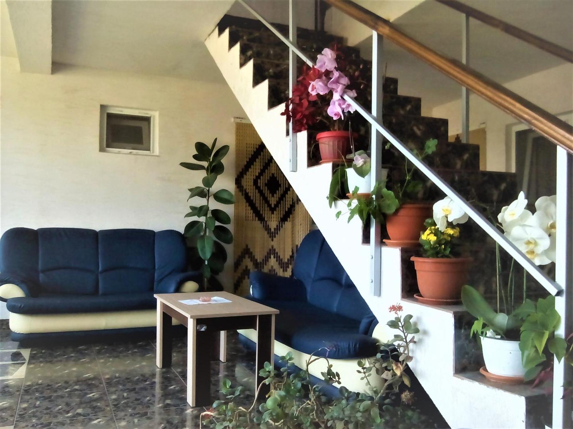 Vila Nico Costinesti Exterior photo